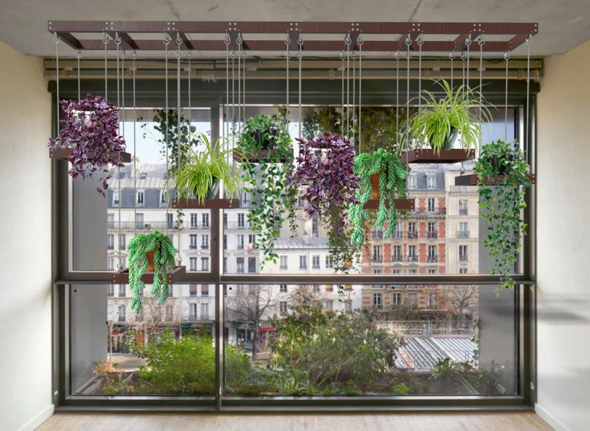 Ceiling garden with hanging plants in front of a large window